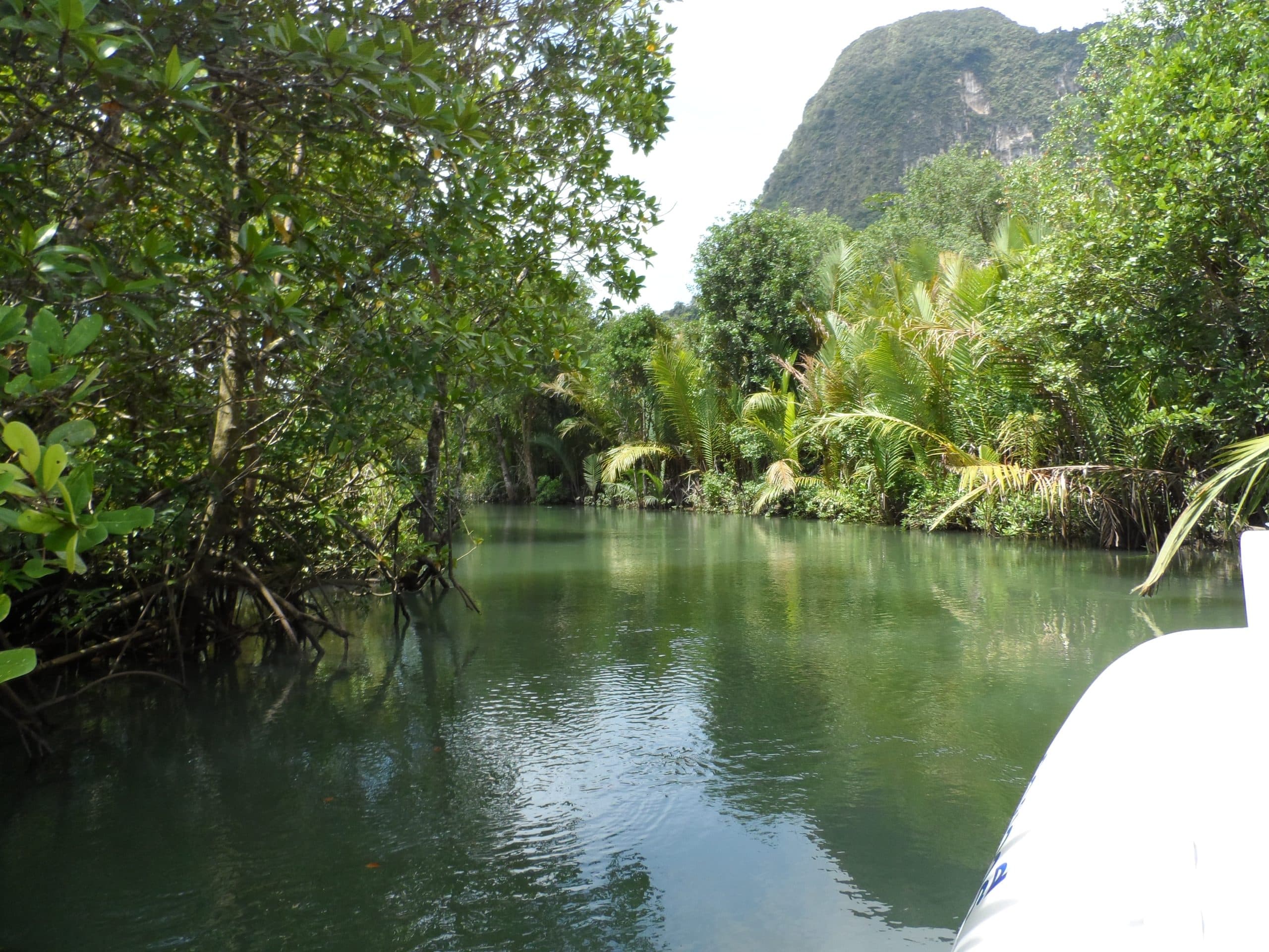 Boat tour on peaceful lake surrounded by limestone cliffs